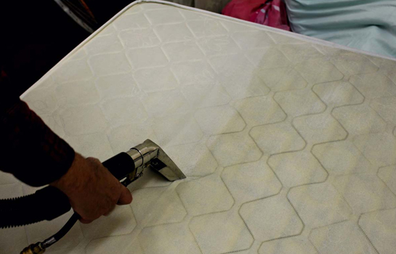 Mattress Cleaning Service Adelaide